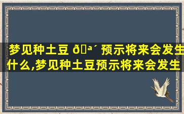 梦见种土豆 🪴 预示将来会发生什么,梦见种土豆预示将来会发生什么 🦟 土豆坑里有虫